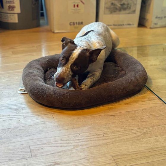 Archie, Assistant Wine Club Manager