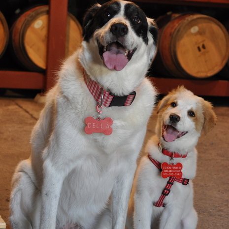 Della, Yelp Page Manager